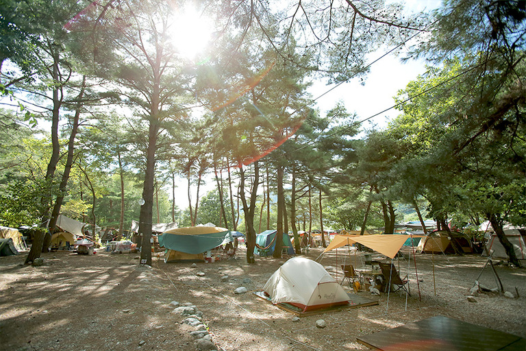 캠핑장