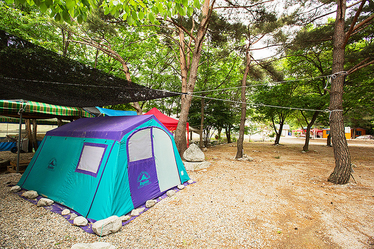 캠핑장