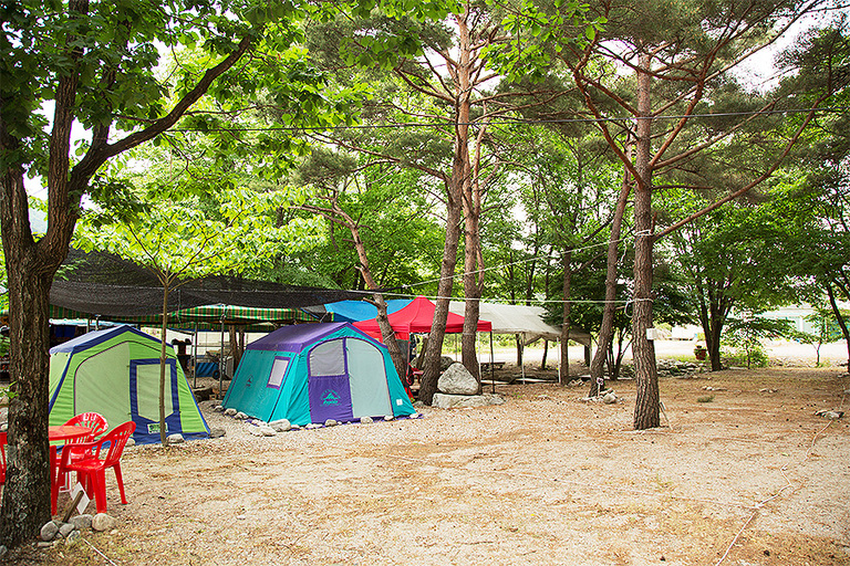 캠핑장